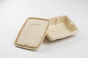 Sugarcane Bagasse Plates