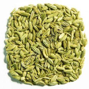 Big Fennel Seeds