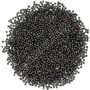 Black Mustard Seeds