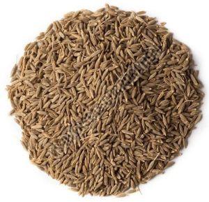 Brown Cumin Seeds