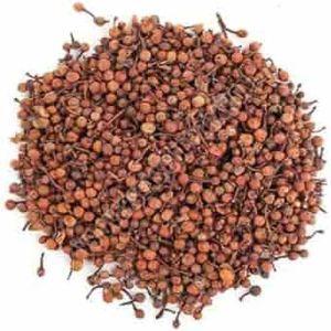 Nagkesar Seeds