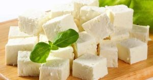 Milk Paneer