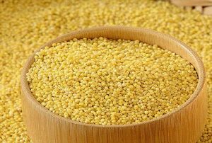 Foxtail Millet Seeds