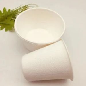 Sugarcane Bagasse Cup