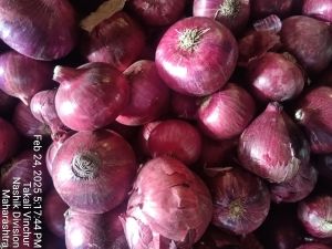 Red Onion