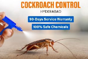 Cockroach Control Services