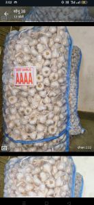 Fresh White Peeled Garlics