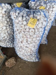 Natural Fresh Peeled Garlics