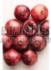 B Grade Fresh Pomegranate