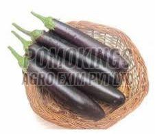 Hybrid Brinjal