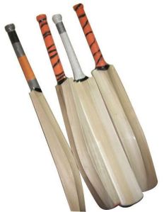 English Willow Cricket Bat