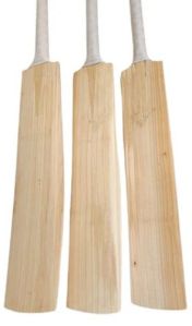 Kashmir Willow Cricket Bat