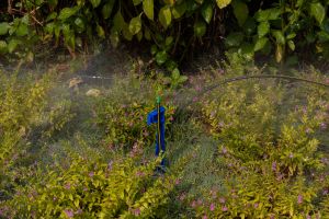 Garden Water Supply System