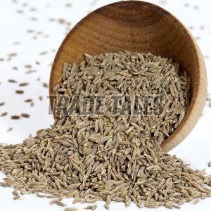 Raw Cumin Seeds