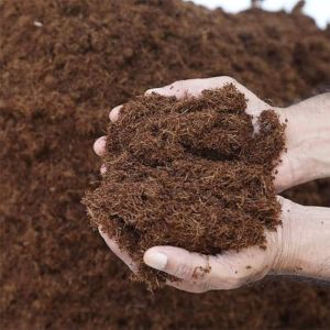 Coco Peat Powder