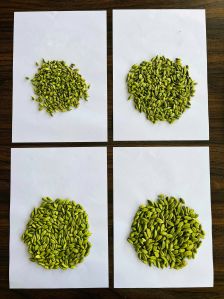 Cardamom