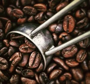 Hybrid Coffee Beans