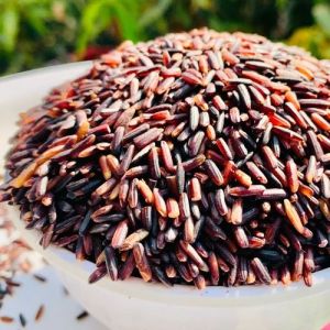 Organic black rice