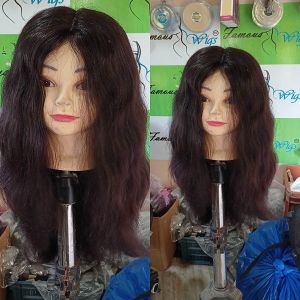 Human Hair Wigs