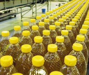 Sunflower Oil