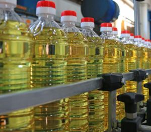Sunflower Oil