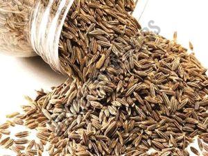 Brown Cumin Seeds