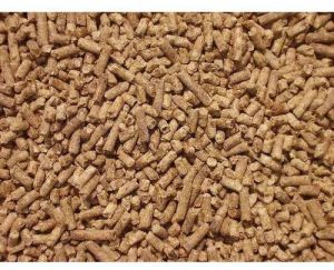 Adult Cattle Feed Supplement