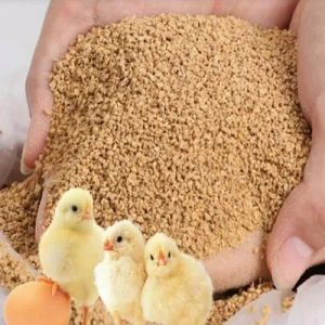 Sonali Poultry Feed