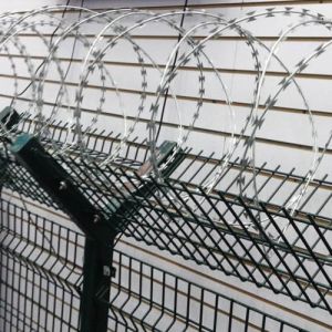 Concertina Wire Mesh