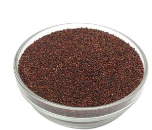 Ragi Seeds