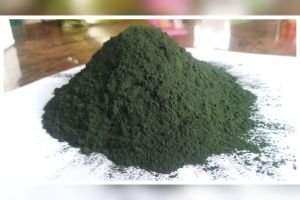 Organic Spirulina Powder