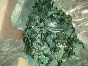 Organic Spirulina Powder