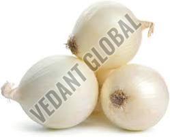 Organic White Onion