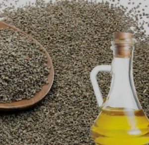Ajwain Seed Oil