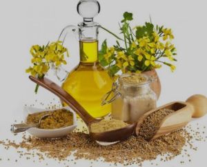 Ajwain Seed Oil
