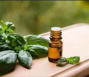Basil Oil