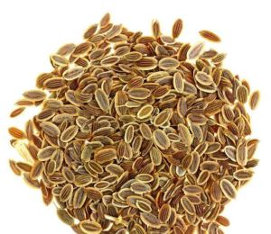 Dill Seed Oil