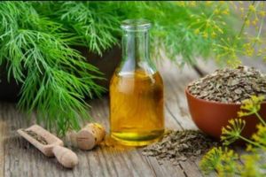 Dill Seed Oil