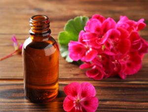 Geranium Oil