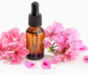 Geranium Oil