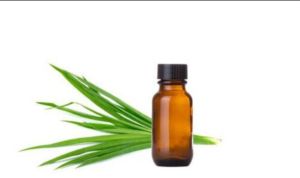 Ginger Grass Oil