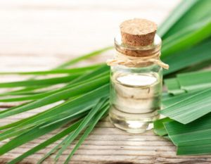 Ginger Grass Oil