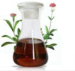 Jatamansi Oil