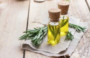 Rosemary Oil