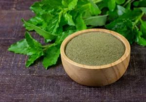 Basil Powder