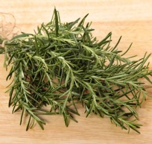 Green Rosemary Leaves