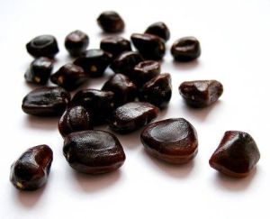 Tamarind Seeds