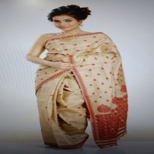 Printed Tussar silk Sarees