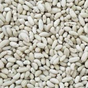 White Sugar Coated Fennel Seeds