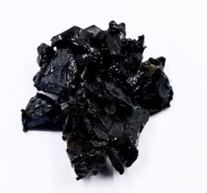 Black Gum